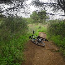 Foto 7 der Bikemap-Route "Rota 7 aldeia de juso-areia"
