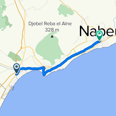 Mit dem Bus nach Nabeul