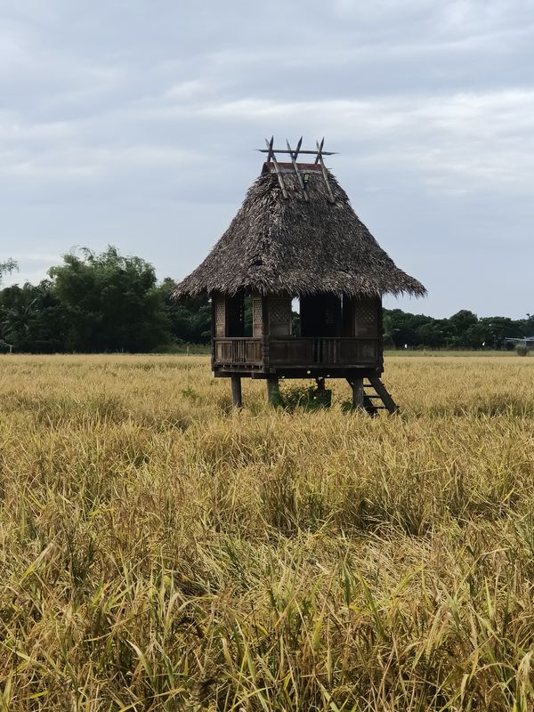 Lungos Street, Bulakan to Dulo Street 676, Bulakan