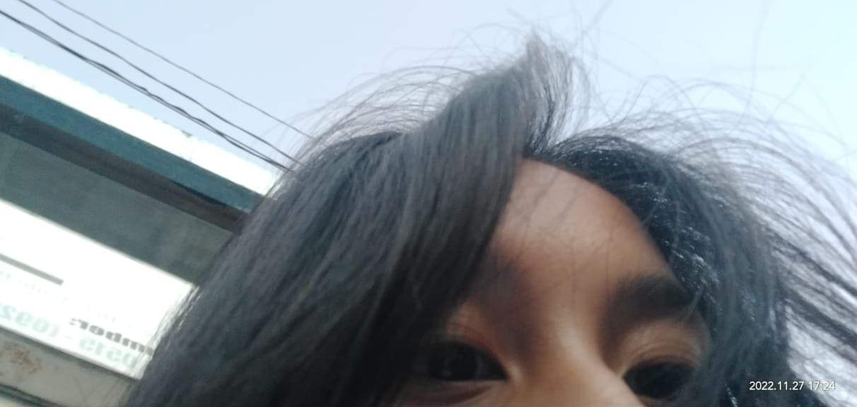 Bahay ni piatot to bahay ni daz