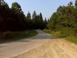 Highlight 2 along the Bikemap route "2011-08-26 Рыбн-МЧС в лесу-Посич 60км"