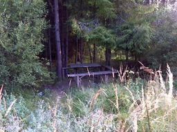 Highlight 18 along the Bikemap route "2011-08-26 Рыбн-МЧС в лесу-Посич 60км"