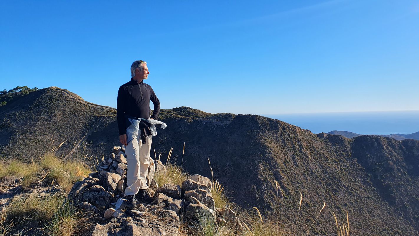 Diseminado Diseminados 31 nach Diseminado Diseminados 31