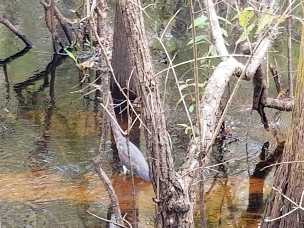 Greater Thonotosassa, Tampa to Edmonton Drive 9914, Land O' Lakes