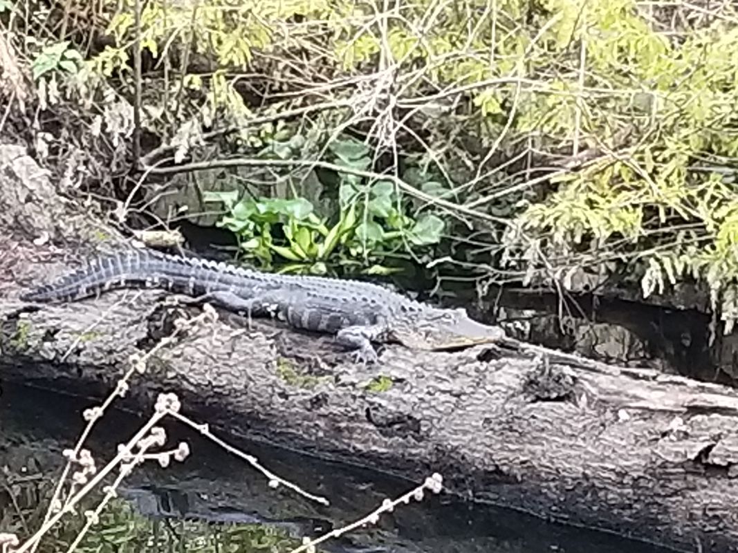 Greater Thonotosassa, Tampa to Edmonton Drive 9914, Land O' Lakes