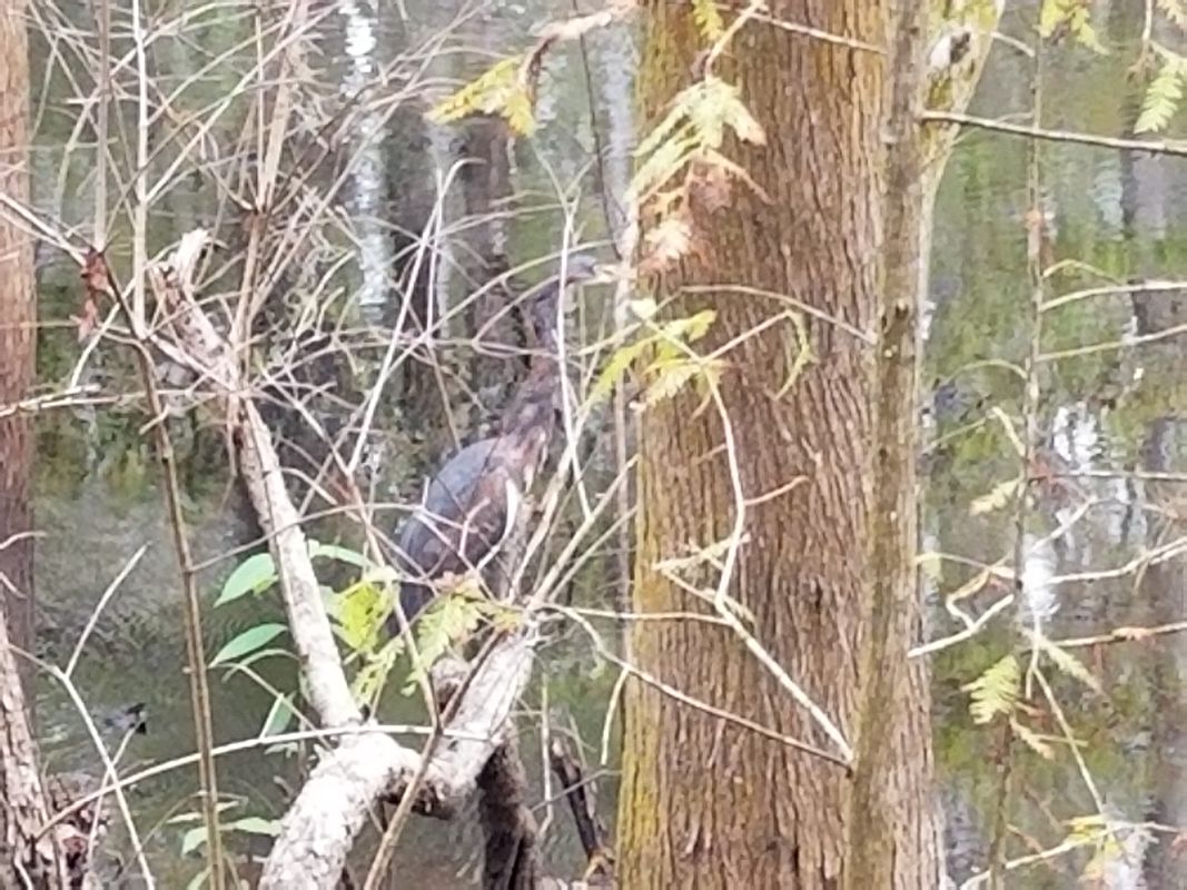 Greater Thonotosassa, Tampa to Edmonton Drive 9914, Land O' Lakes