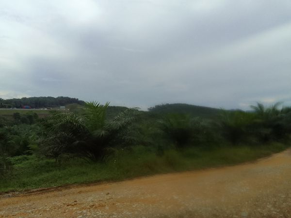 Foto 2: Sani