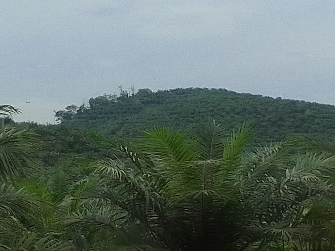 Lorong Nangka to Jalan Kenanga 158, Kulai