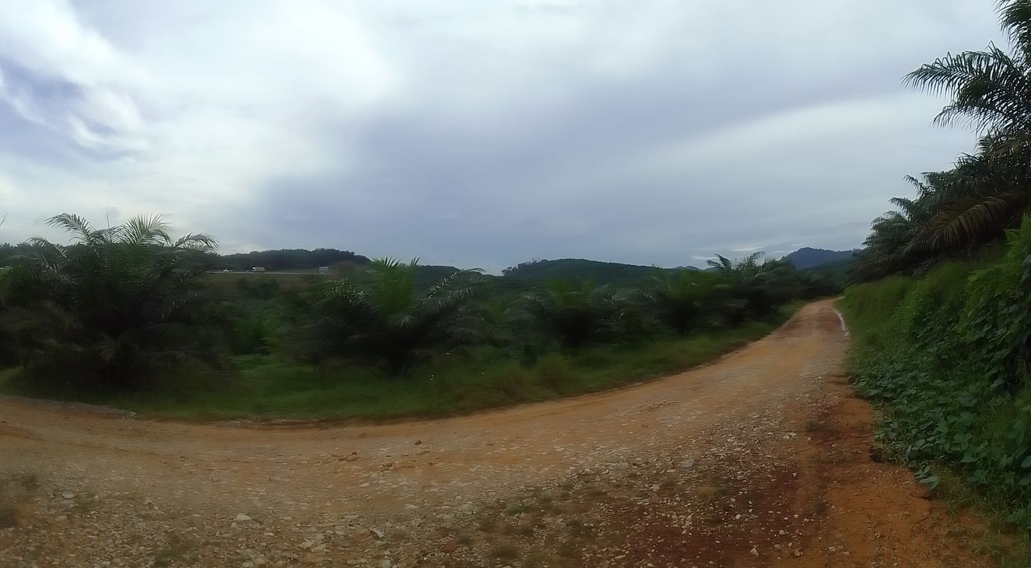 Lorong Nangka to Jalan Kenanga 158, Kulai