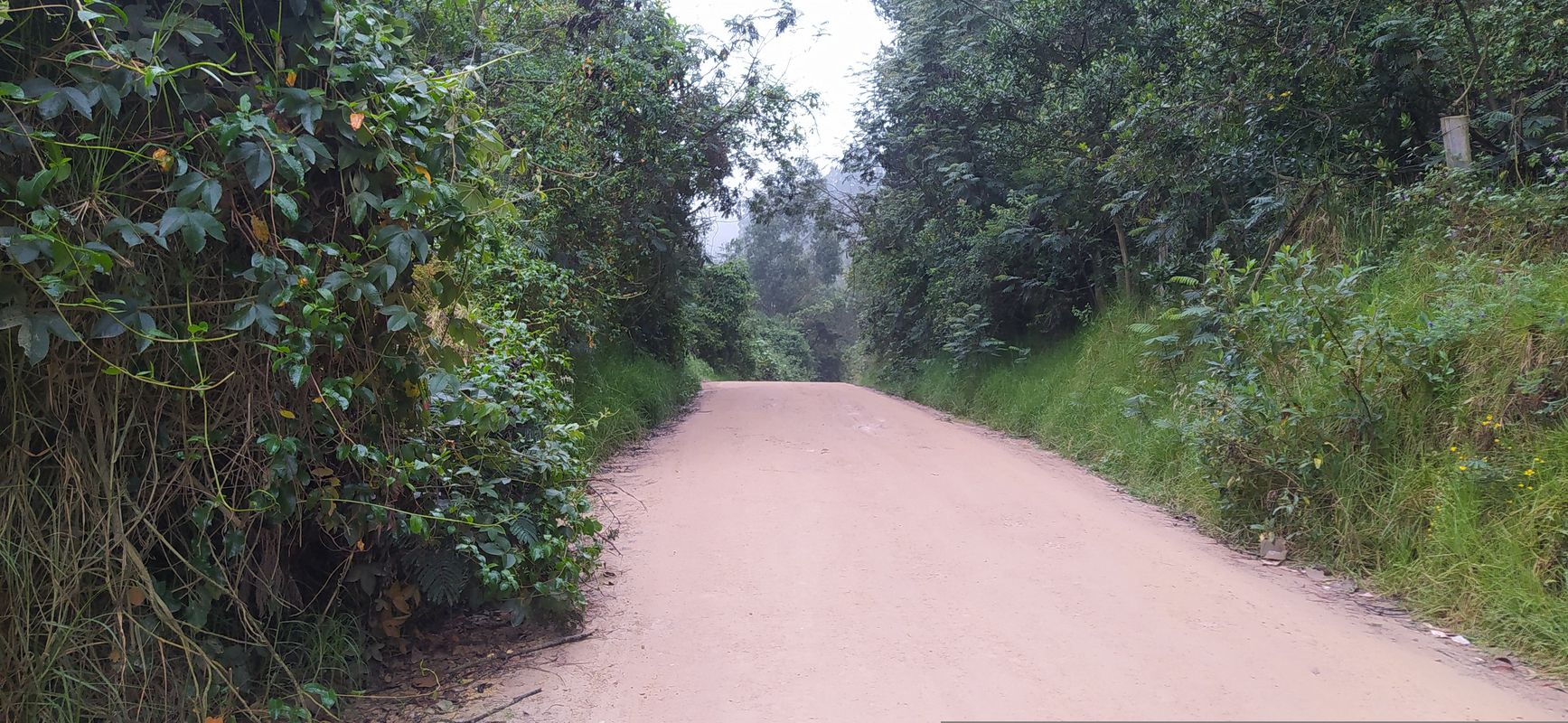 Bogotá - Lourdes - Zipaquirá - Bogotá