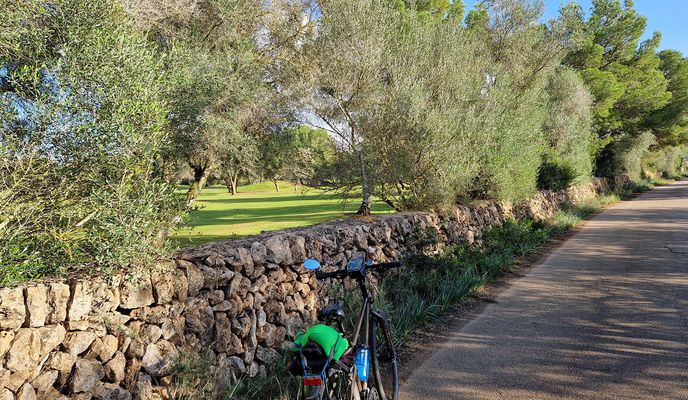 Photo 1 of the Bikemap route "Mallorca: ses Cadenes-Son Antem-Son Noguera-s'Aranjassa-ses Cadenes"