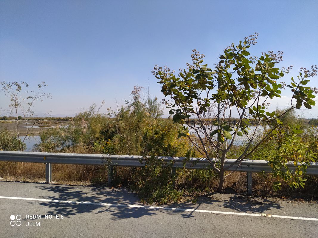 Ruta de descanso