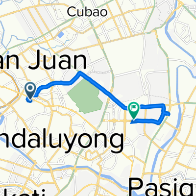 P. Martinez Street, Mandaluyong to Doña Julia Vargas Avenue, Pasig