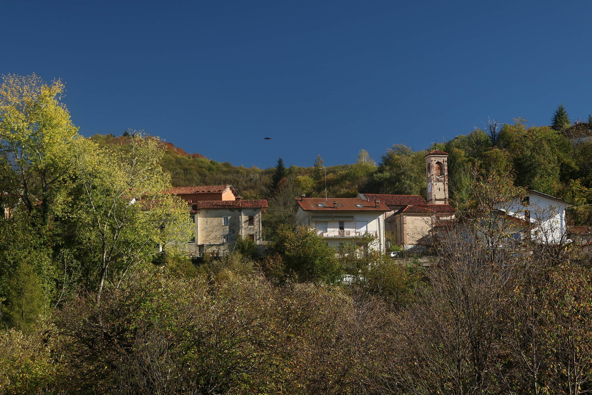 Highlight 5 along the Bikemap route "Elogio della Pieve di San Maurizio a Roccaforte Mondovì"