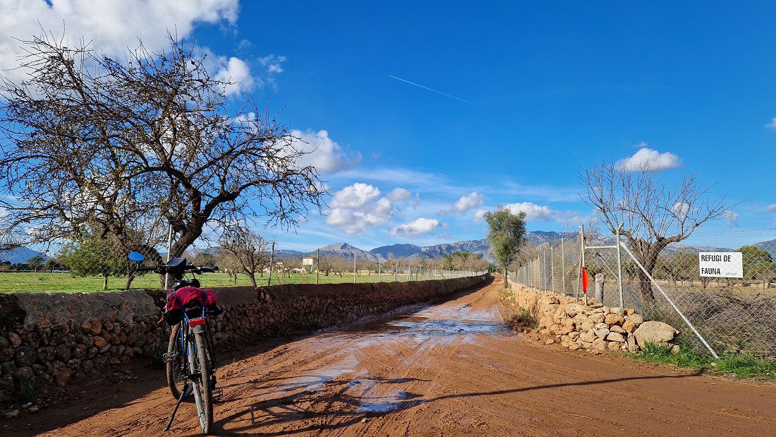 Mallorca: Pòrtol-Santa Maria-Son Pisà-es Figueral-Marratxinet-Pòrtol