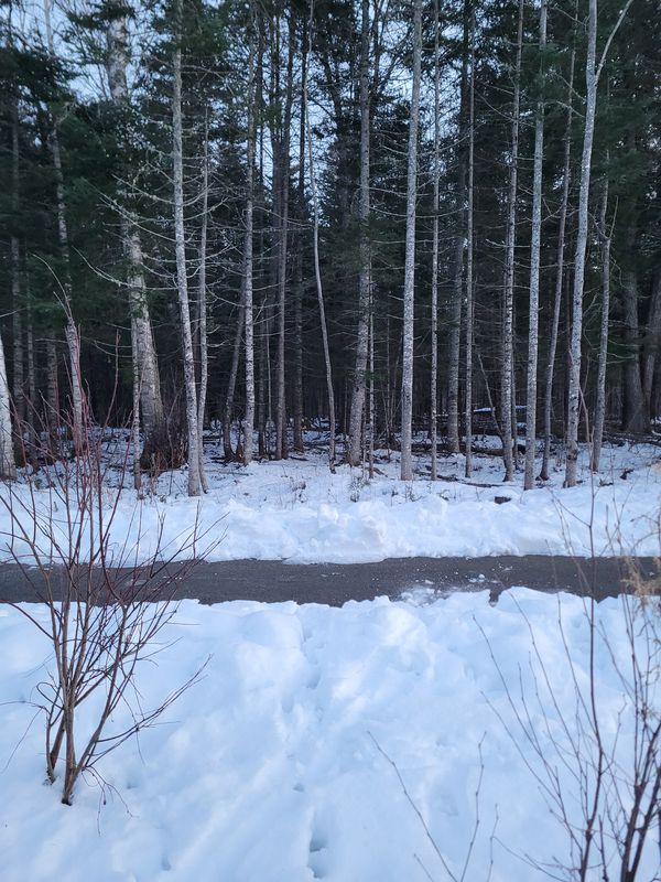 McCaffrey Court 9, Oromocto to McCaffrey Court 9, Oromocto