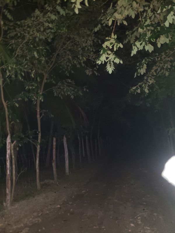 De Avenida Insurgentes km 5.025, Chetumal a Laguna Orquidea 50, Chetumal