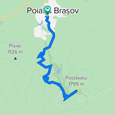 P. Brasov - Vf. Postavaru - P. Brasov I