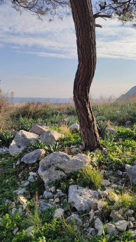 От 13. Sokak 9, Bahtılı Köyü Köyü до Konyaaltı Hisarçandır Yolu