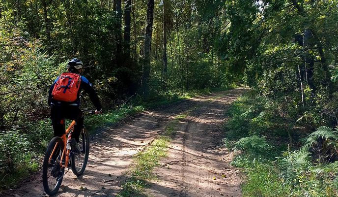 Foto 2 del percorso Bikemap "Осиповичи - Елизово через заказник"