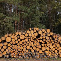 ΠΠΈΠ½ΡΠΊ - ΠΠΎΠ»ΠΎΠ΄Π΅ΡΠ½ΠΎ Π²Π΄ΠΎΠ»Ρ ΠΠ°ΠΏ.ΠΠ΅ΡΠ΅Π·ΠΈΠ½Ρ