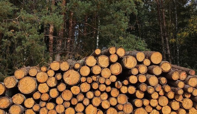 Foto 1 der Bikemap-Route "Минск - Молодечно вдоль Зап.Березины"