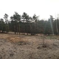 most Marii Skłodowskiej-Curie, Warszawa do Droga bez nazwy, Jabłonna