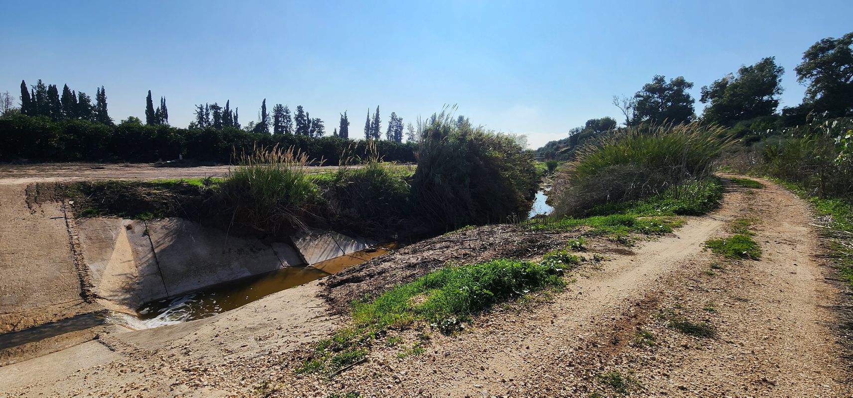 גבעת ברנר to גבעת ברנר