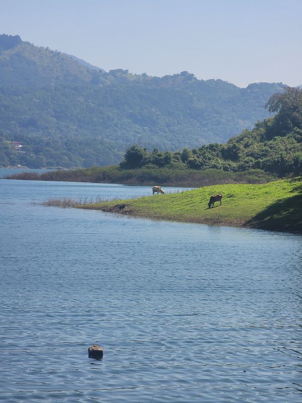 New year ride to digana