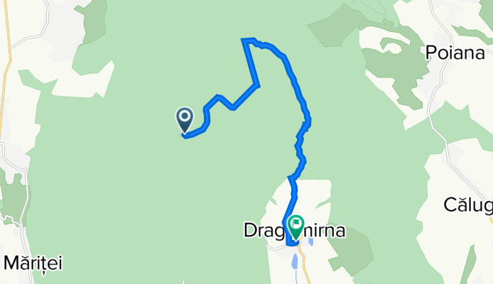 Mitocu Dragomirnei to DJ208U 1, Dragomirna