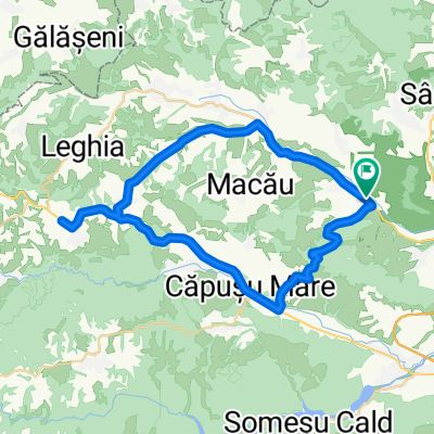 Garbau-dumbrava-paniceni-capusu-mare-garbau