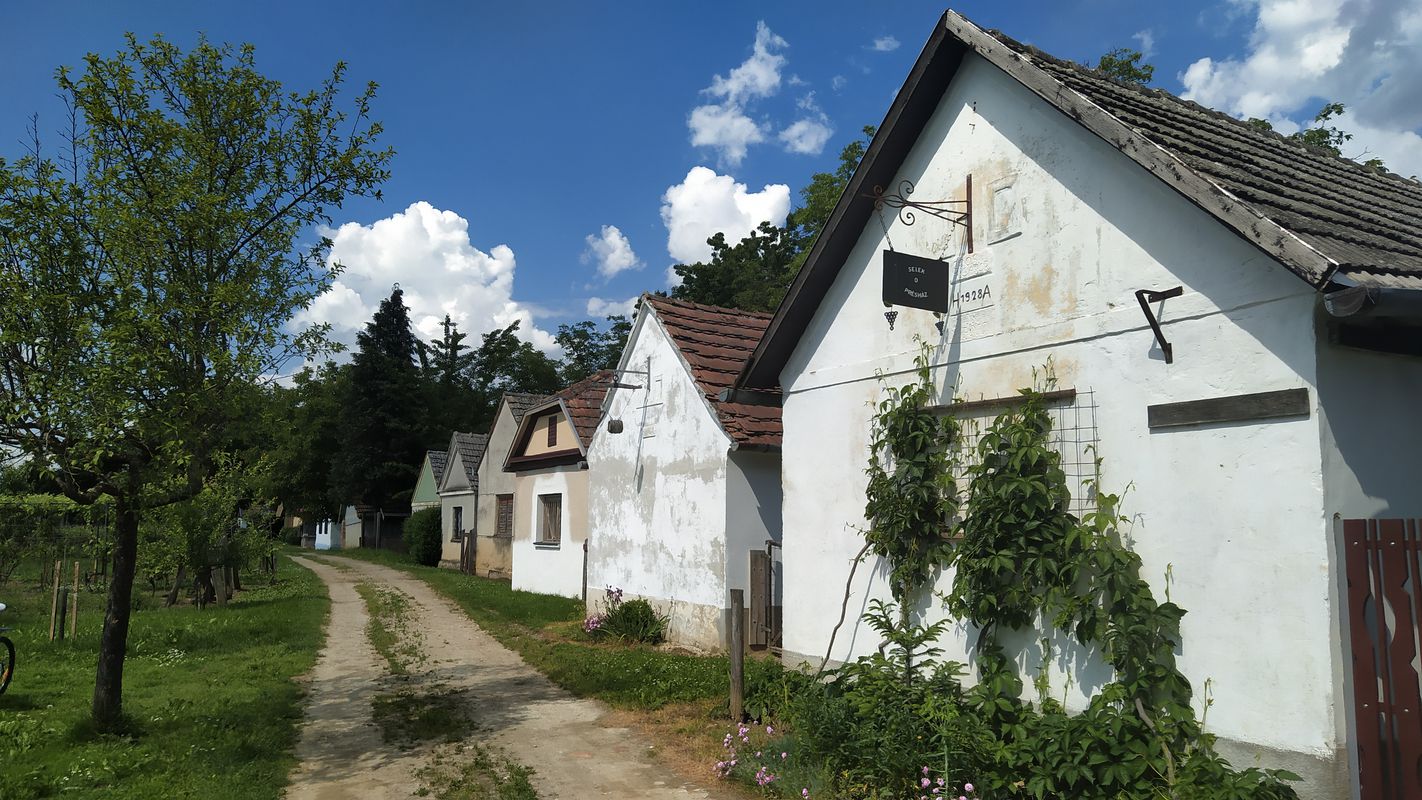 Vörös-hegyi kör