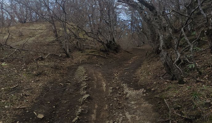 Foto 2 de la ruta de Bikemap "Udzo monastery"