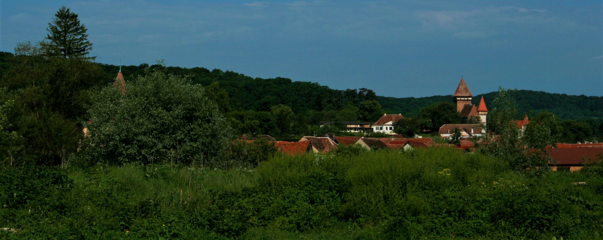 Floresti - Iacobeni