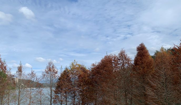 Photo 2 of the Bikemap route "20230112 日月潭"