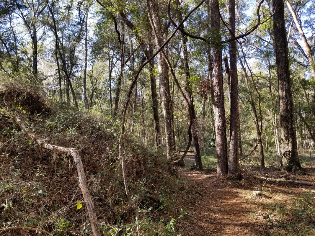 Southeast 80th Street 3080, Ocala to Southeast 80th Street 3080, Ocala
