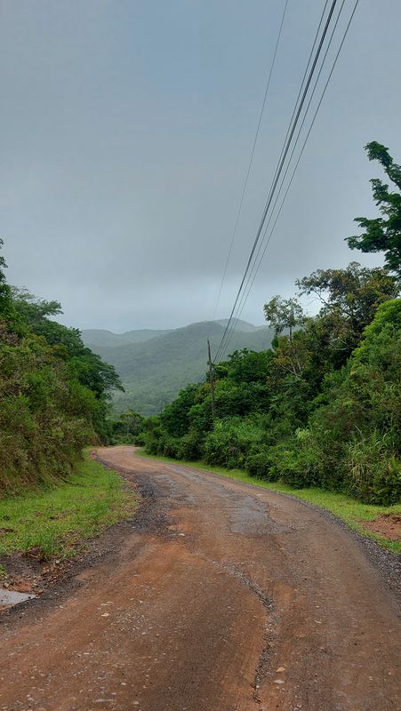 Sertão-Ribeirão