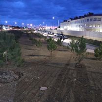 ЭкоТех, динопарк, Омега, парк Победы