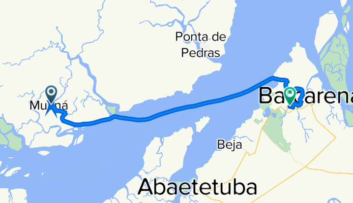 palmito
