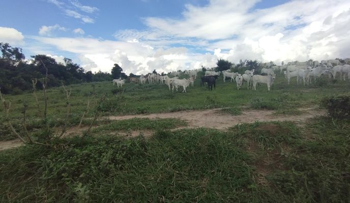 Photo 2 of the Bikemap route "Rota desde Rua Pau Terra 79"