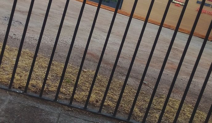 Photo 1 of the Bikemap route "Ruta a Avenida General Julio Argentino Roca 364, General Roca"