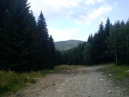 POI Photo 2: bohuslaf