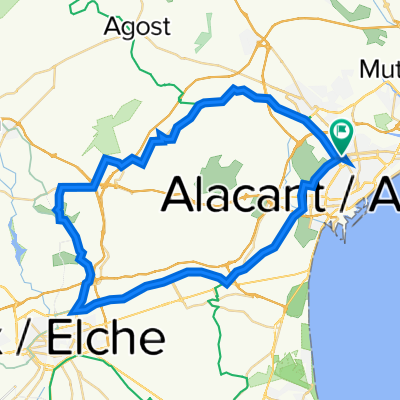 alicante random