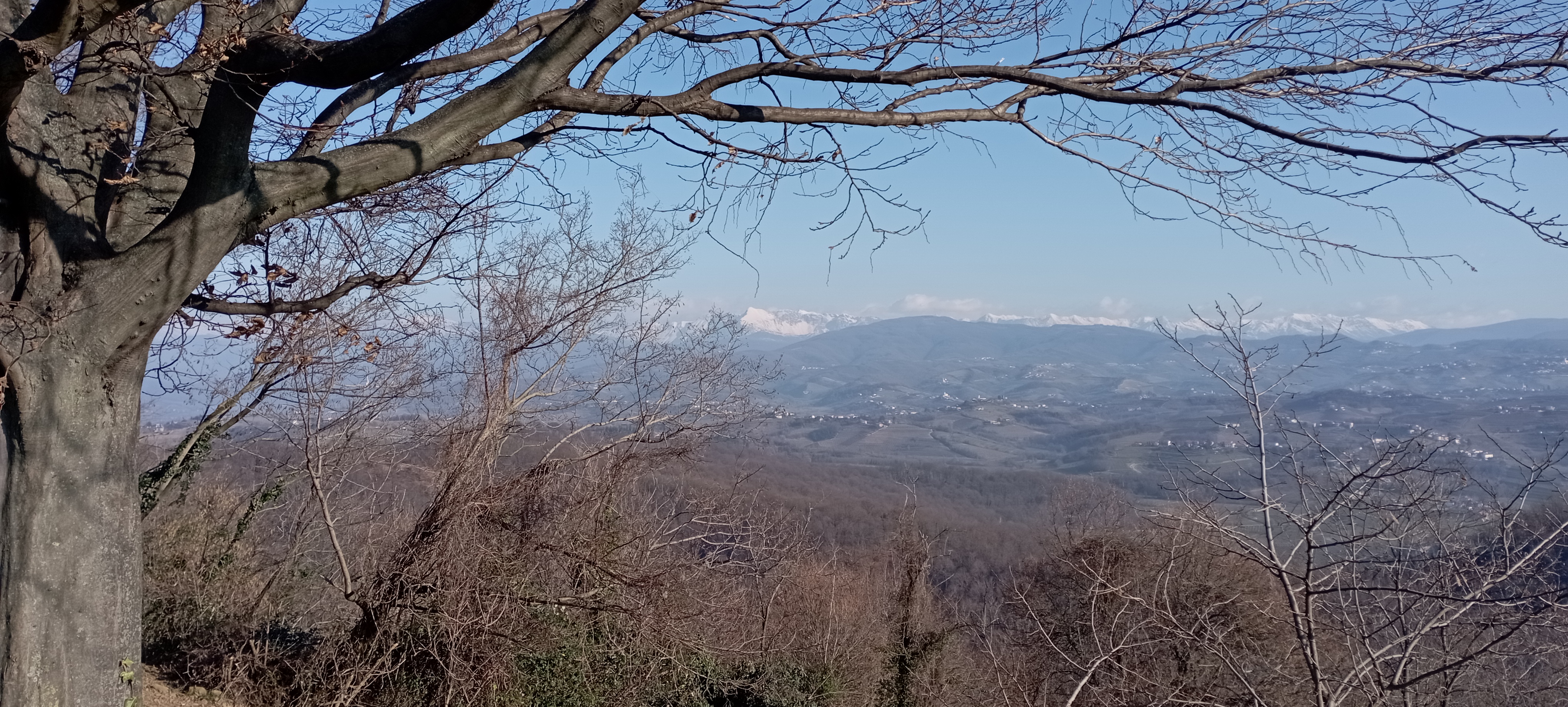 Via Redipuglia 1, Ruda to Via Redipuglia 1, Ruda