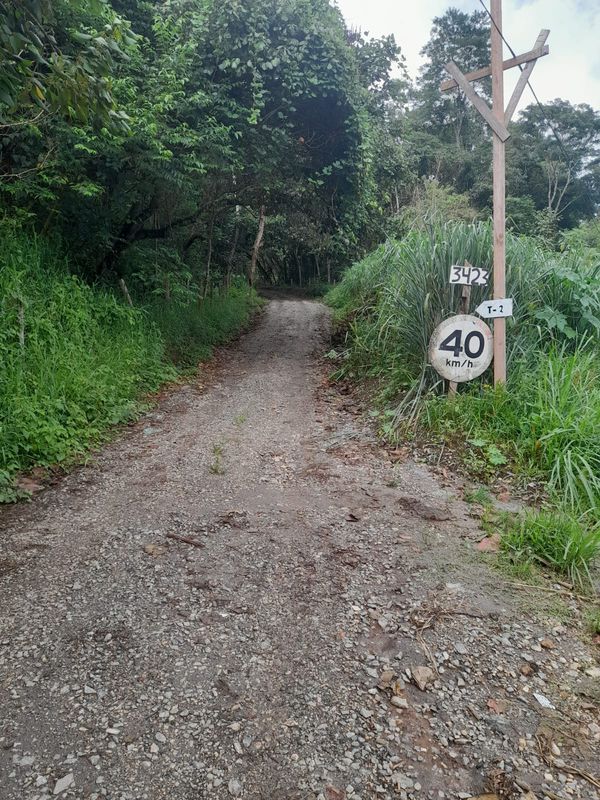Indo até Itaquiberabinha e retornando por trilhas