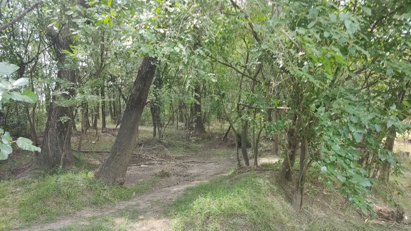 Bosque encantado en Capilla del Señor
