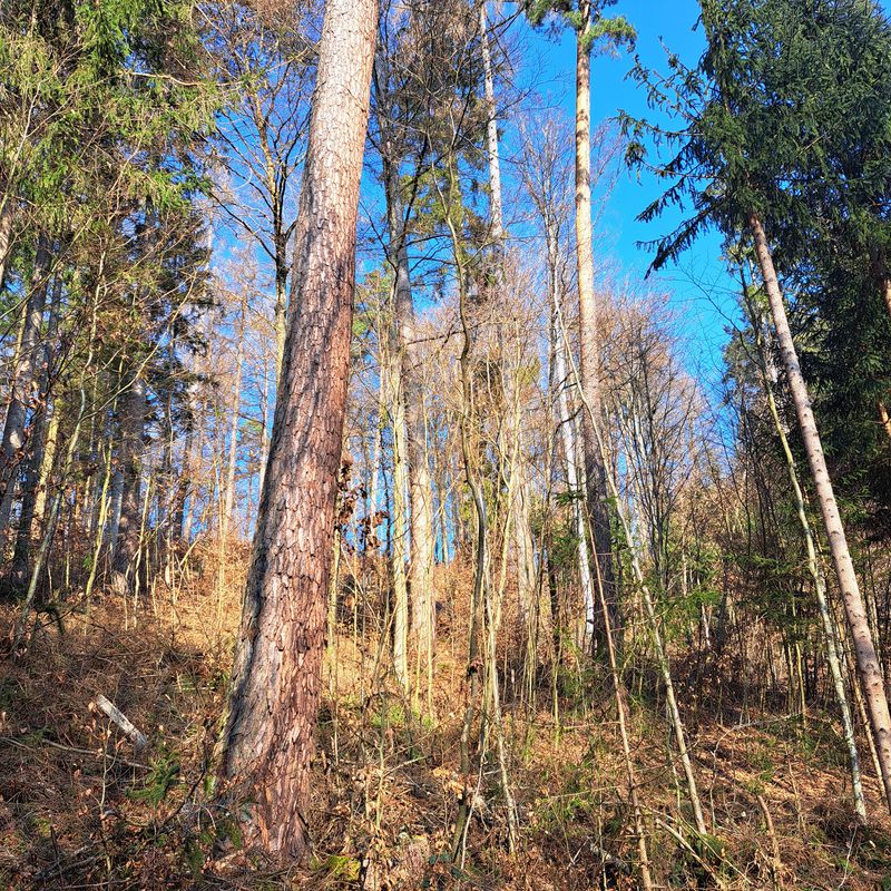 Wintertour nach Messstation