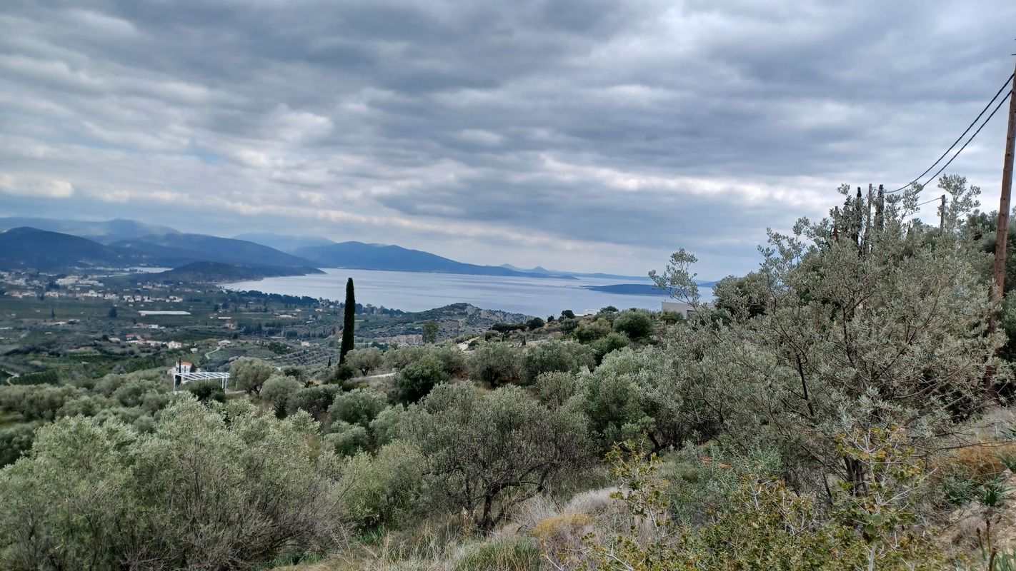 Αγίας Μονής, Αργολίδα to Λεωφόρος Ασκληπιού 75, Ναύπλιο