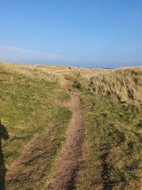 Afternoon Walk