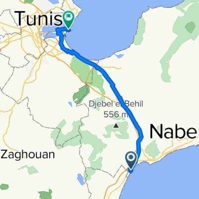 hammamet - tunisi porto